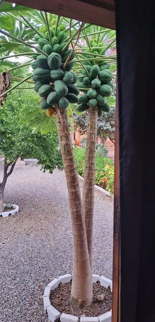 Le Chalet D'Asmaa Agadir 0*,  Marokkó